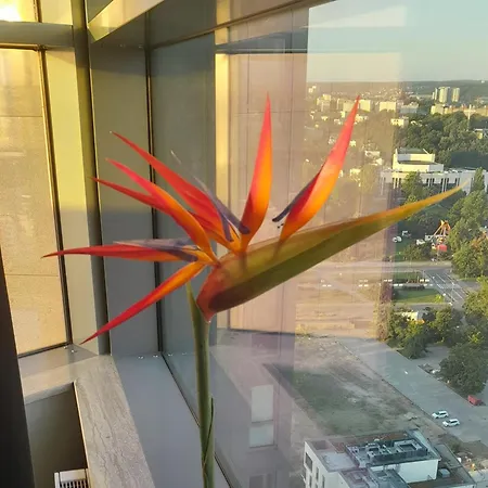 Ikona Sea Towers - 28th Floor - 360 Panorama Penthouse -